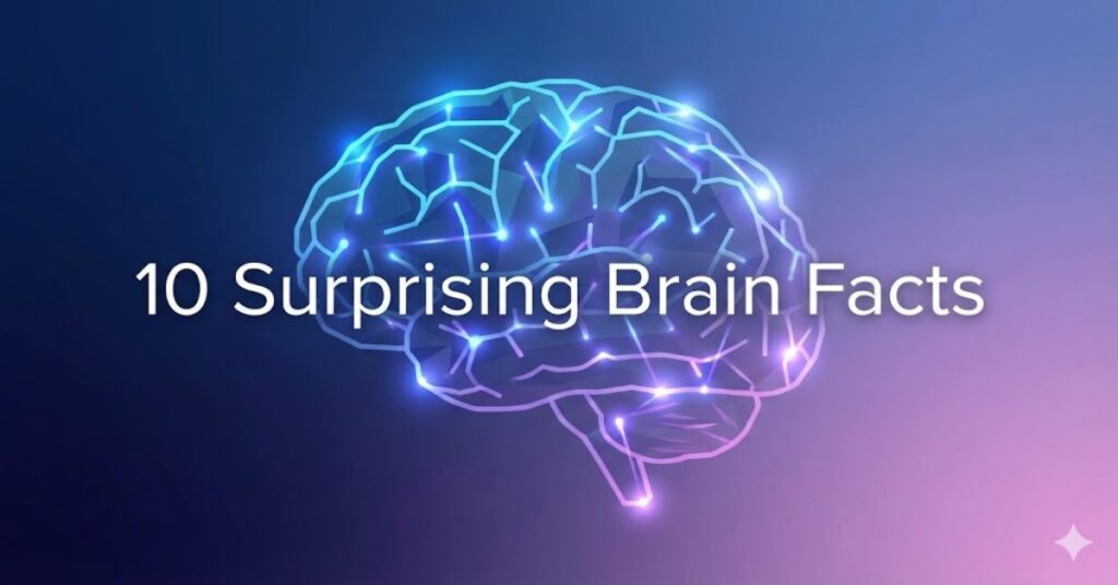 surprising brain facts illustration